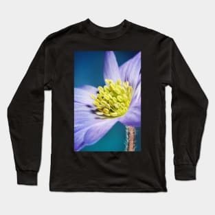 Spring Blues Long Sleeve T-Shirt